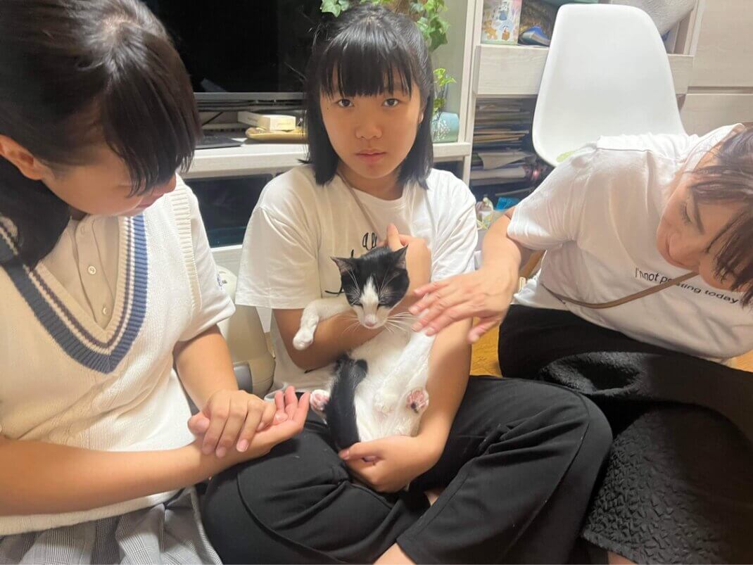 甘えん坊のブッチがトライアル出発😆🎉 | ネコリパブリック｜日本の猫