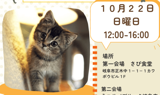 10月22日開催！岐阜県最大級　子猫＆保護猫譲渡会！命のバトンを繋ぐ保護猫活動に参加しませんか？