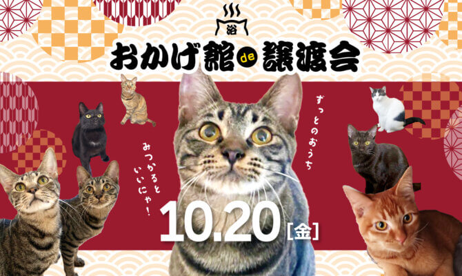 初開催！！天神橋筋商店街で譲渡会！！可愛いスリゴロさんたち大集合ー！in天三おかげ館