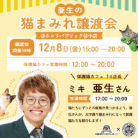 亜生の猫まみれ譲渡会！@ネコリパブリック谷中店「ネコリパ谷中店X宮古島SAVE THE ANIMALS共同企画」