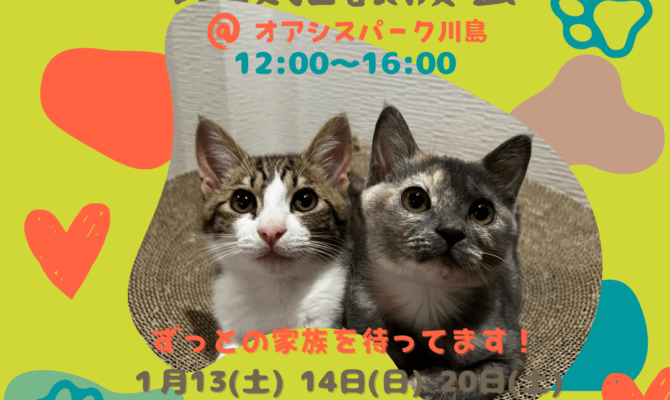 2024年も子猫・保護猫譲渡会を開催！会場はオアシスパーク川島😺大人気のネコバスもやってくる🐈