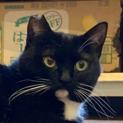 ポコ→とろ【池袋】