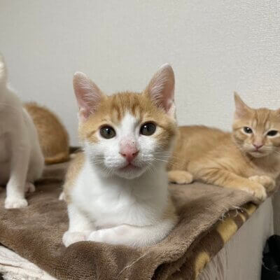 フルティカ【岐阜店】→凪