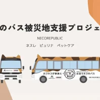 能登半島地震被災地の猫たちを救え！ネコのバスが被災地へ出動。猫の1.5次避難所を開設！