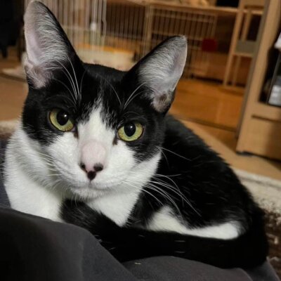 ルア【大阪ねこ浴場】