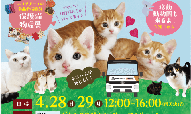4月28日・29日　富山県駅にて、保護猫譲渡会＆保護猫物産展を開催いたします✨