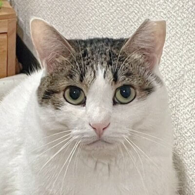                                 こと【大阪ねこ浴場】