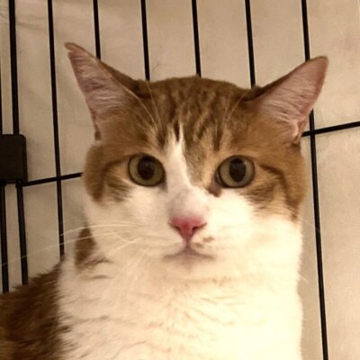 チャシー【池袋】