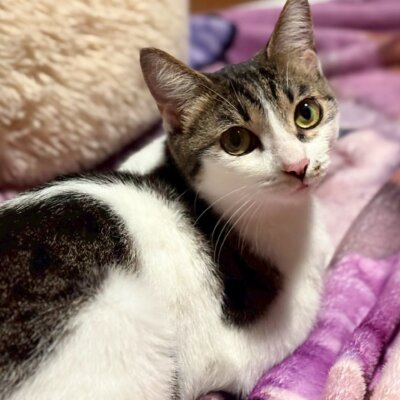 かまたま【岐阜店】