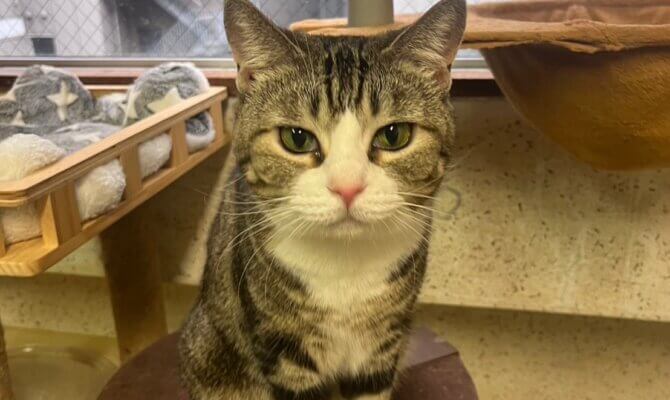 ロコンちゃんトライアルへ出発です❗️