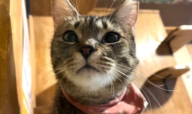 ダウト&柚鈴トライアルへ出発❗️