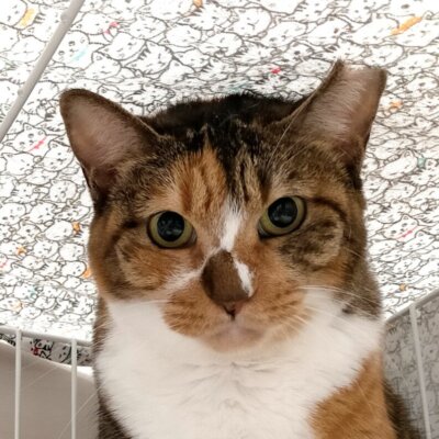 まる【池袋】