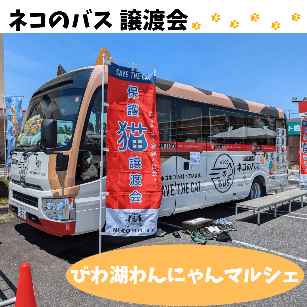 925dec07ad63332f998603eb96df51