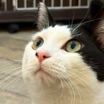 ピノキオ【岐阜店】