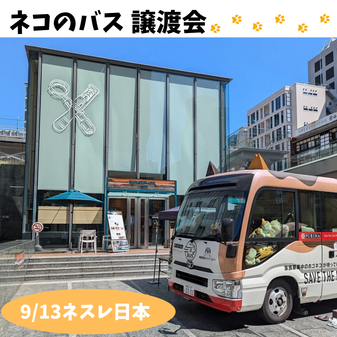 ネコのバス譲渡会レポート】＠ネスレ日本 | ネコリパブリック｜日本の