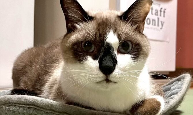 【お茶の水〜ユリ雄〜】