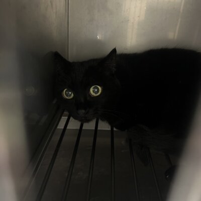 おふゆ【ちびびの森シェルター】