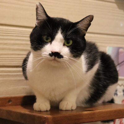 おしゃべり【岐阜店】