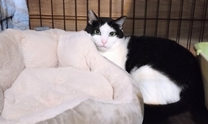 【お茶の水】〜ハッチン〜