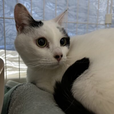 さあや【ちびびの森シェルター】