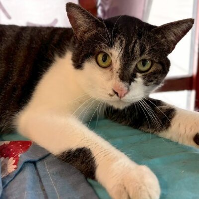 あらいぐま【岐阜店】