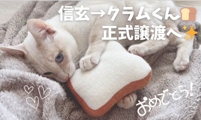 信玄→クラムくん🍞正式譲渡へ🏡✨️