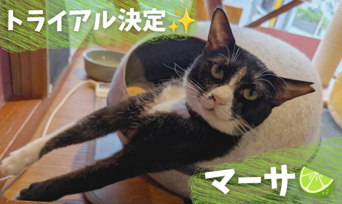 ♨️マーサ・トライアル出発🤵‍♀️✨️