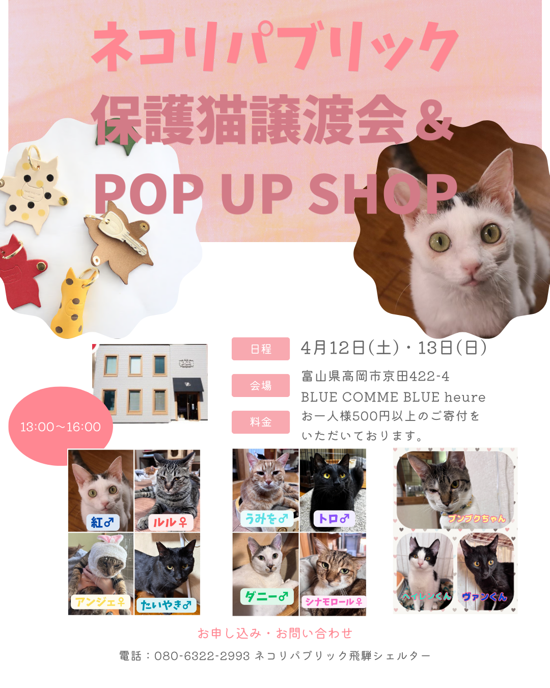 4月12日・13日 ブルーコムブルー×ネコリパブリック 保護猫譲渡会&POP