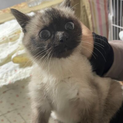                                 たまゆき【岐阜店】→ユキ