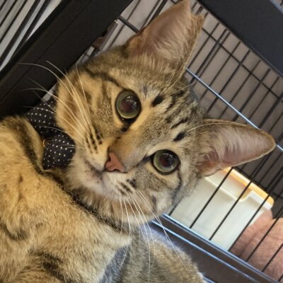 クリン【池袋】