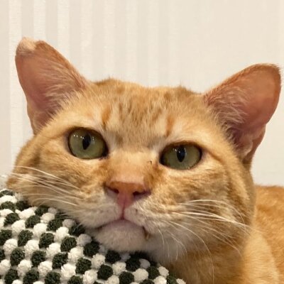 テレキャス【池袋】