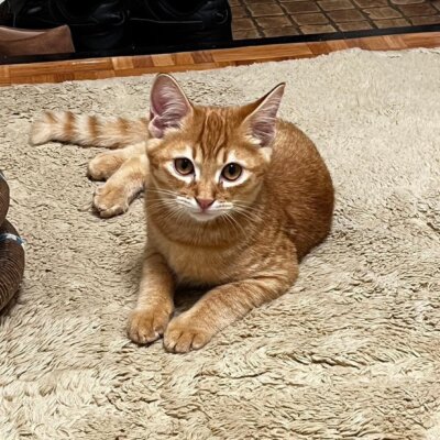ムール【大阪ＴＮＴＡ部】➡こたろう