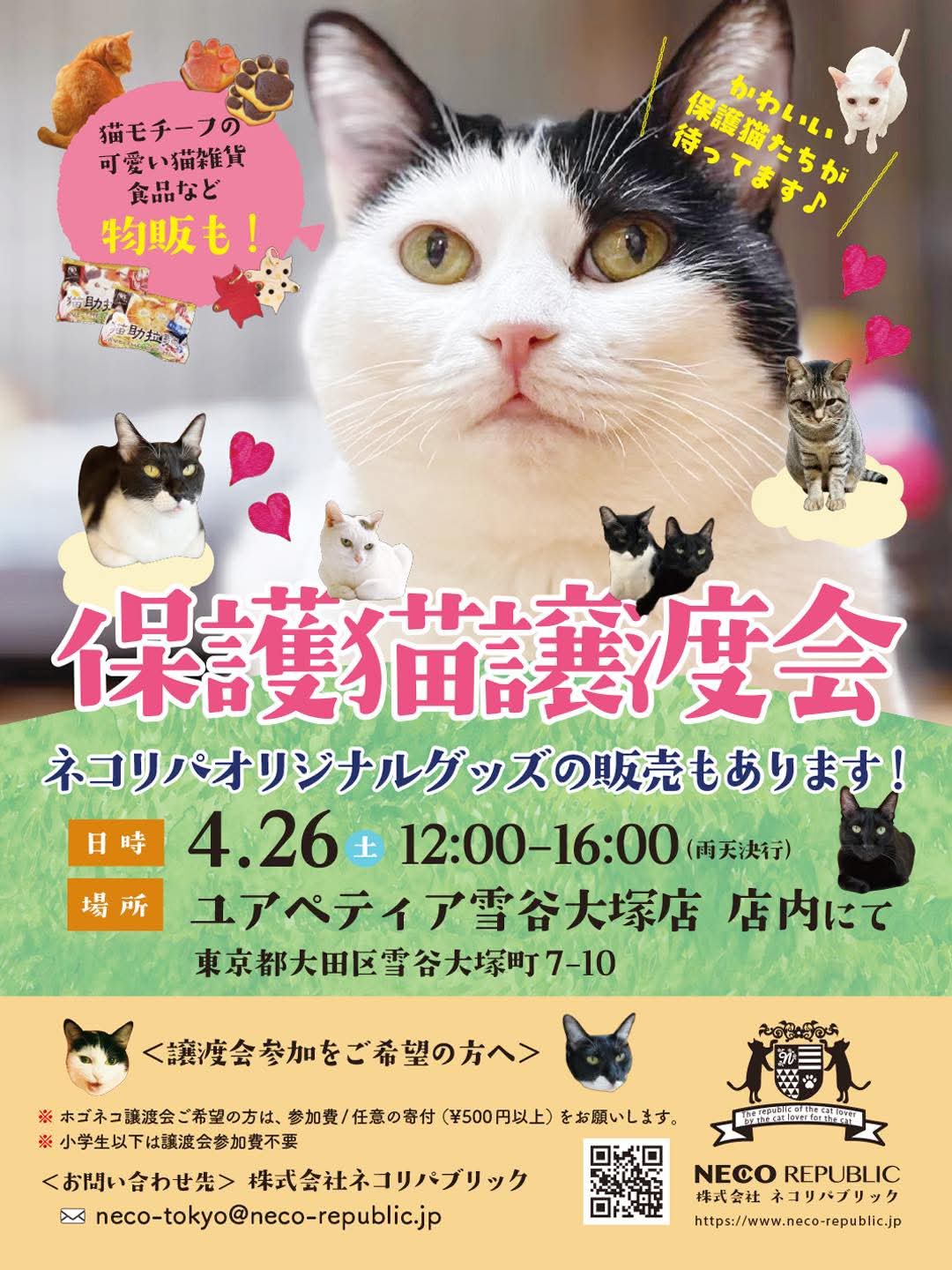 ユアペティア雪谷大塚店初！！ネコリパブリックが保護猫譲渡会開催