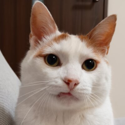 きなこ🍎【池袋】