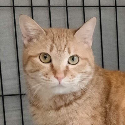 トング【池袋】