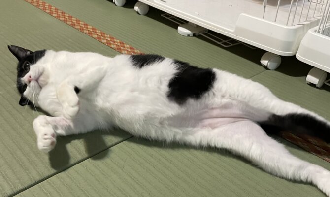 【お茶の水】〜くの〜