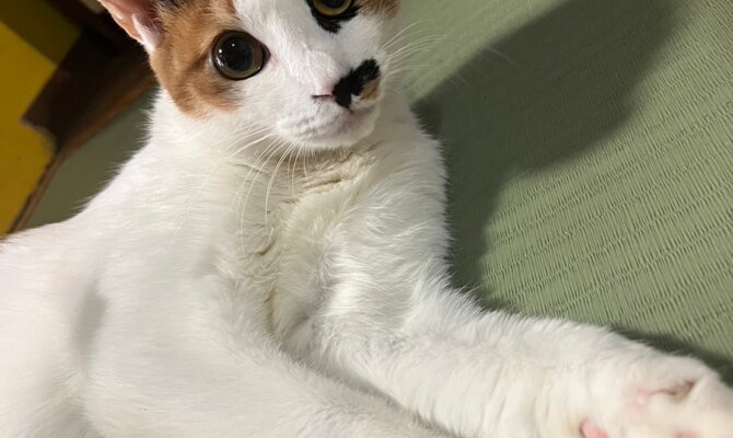 クッカちゃん、幸せへの一歩!
