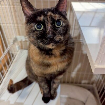 うみほたる【岐阜店】