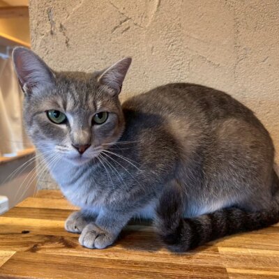 かりゆし【岐阜店】