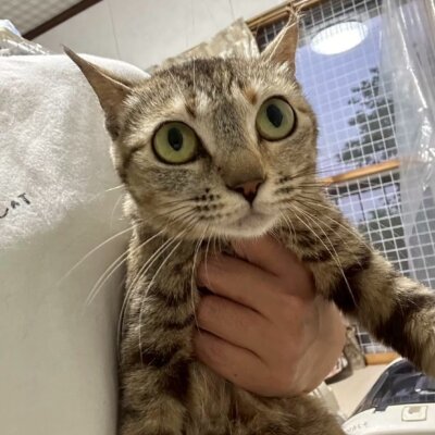 ナスカ【岐阜店】