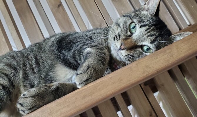 能登くん、トライアルへ出発です‼️