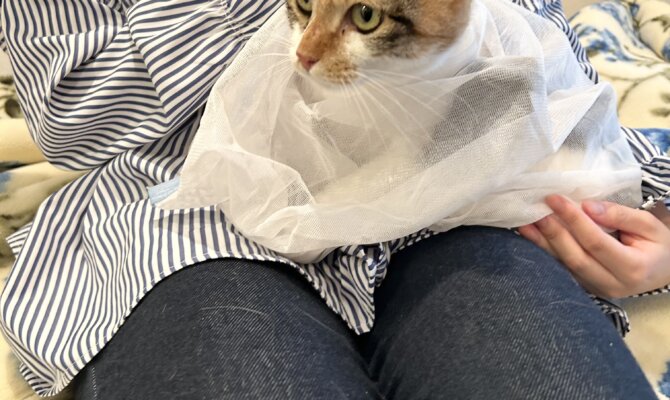 ザッハトルテちゃん、トライアル出発です！