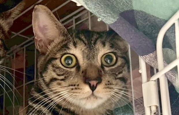 【谷中】〜もぞもぞ〜