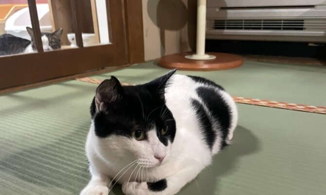 【お茶の水】〜くの〜