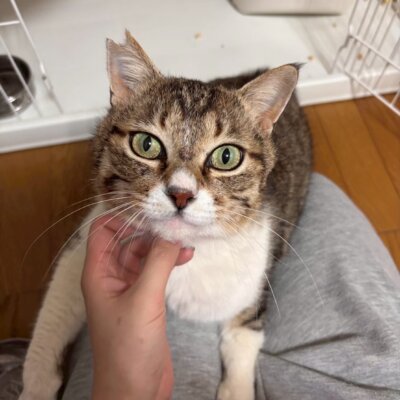 ナイロン【飛騨】