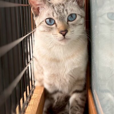 しお丸【岐阜店】