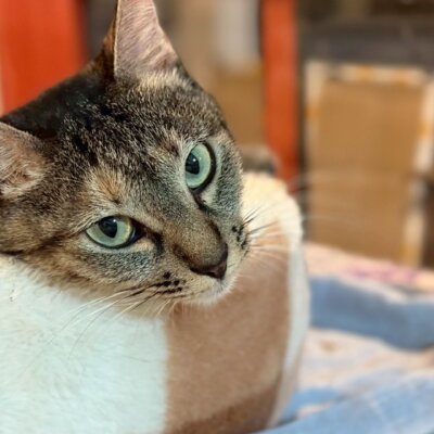 ルマンド【岐阜店】