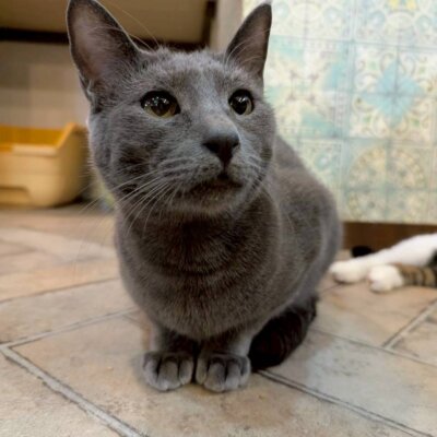 たくあん【岐阜店】