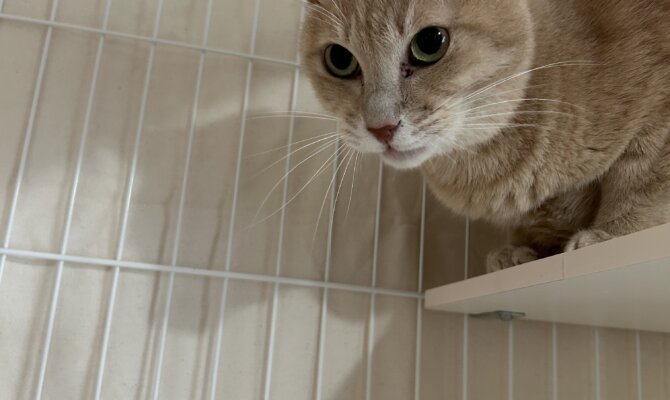 つくし＆かつぶし一緒にトライアルへ出発‼️