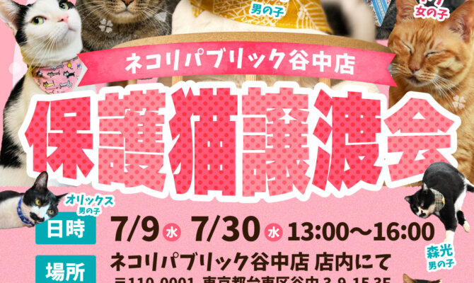 【谷中店】譲渡会開催!